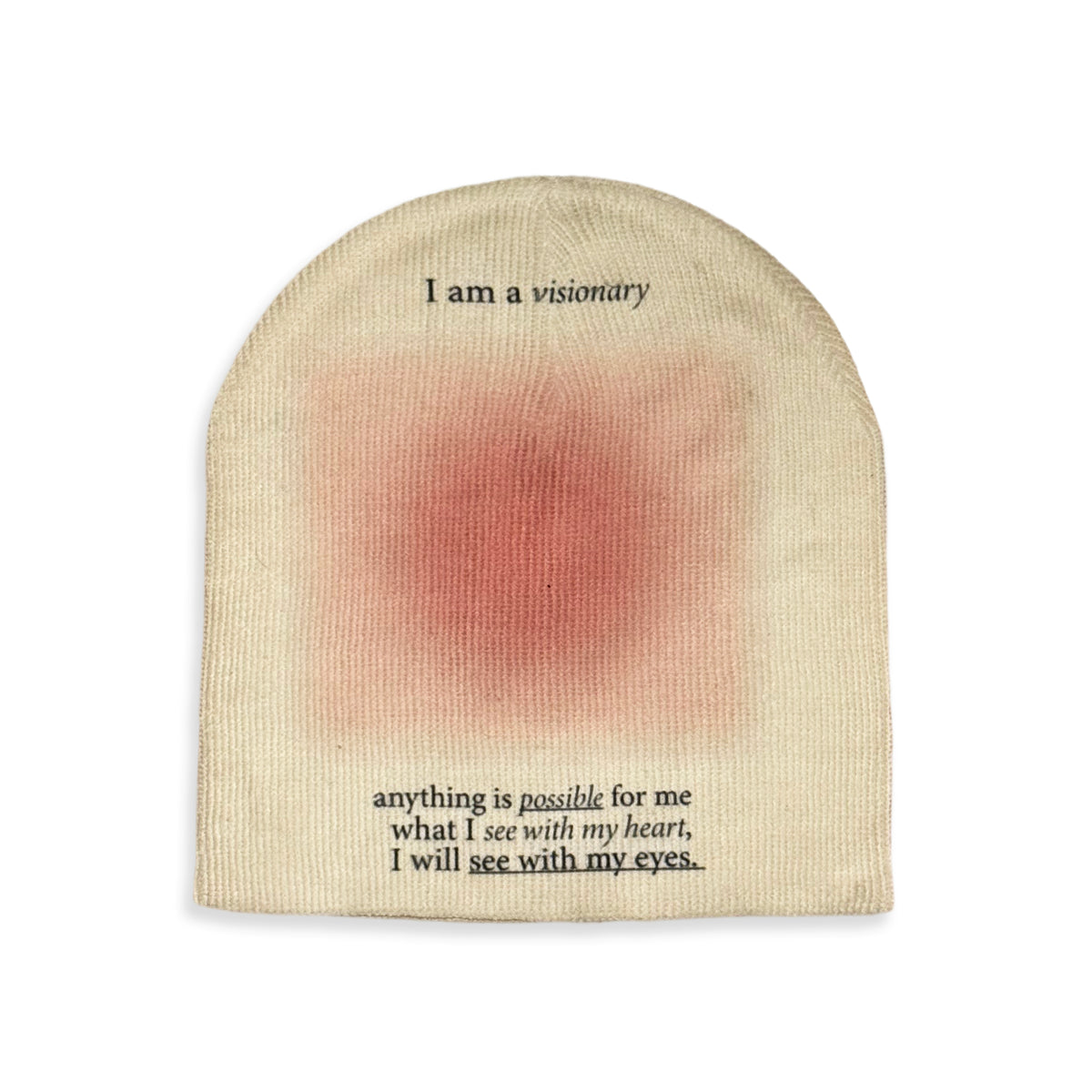 "i am a visionary" beanie